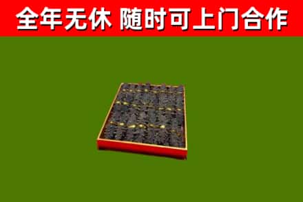 新河县回收海参